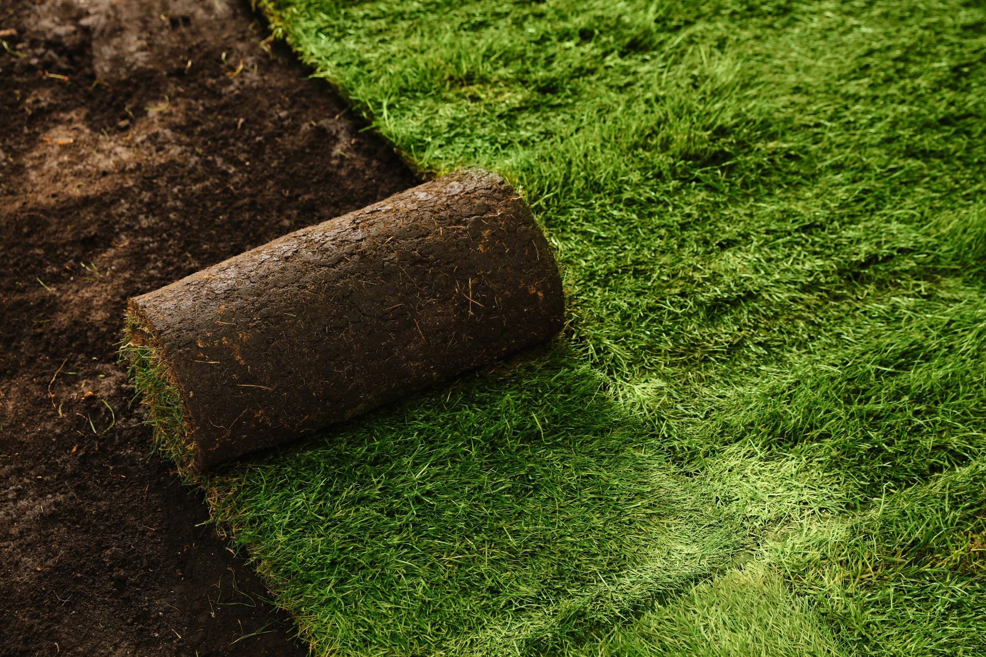 A roll of turf is being rolled out on a lush green lawn.