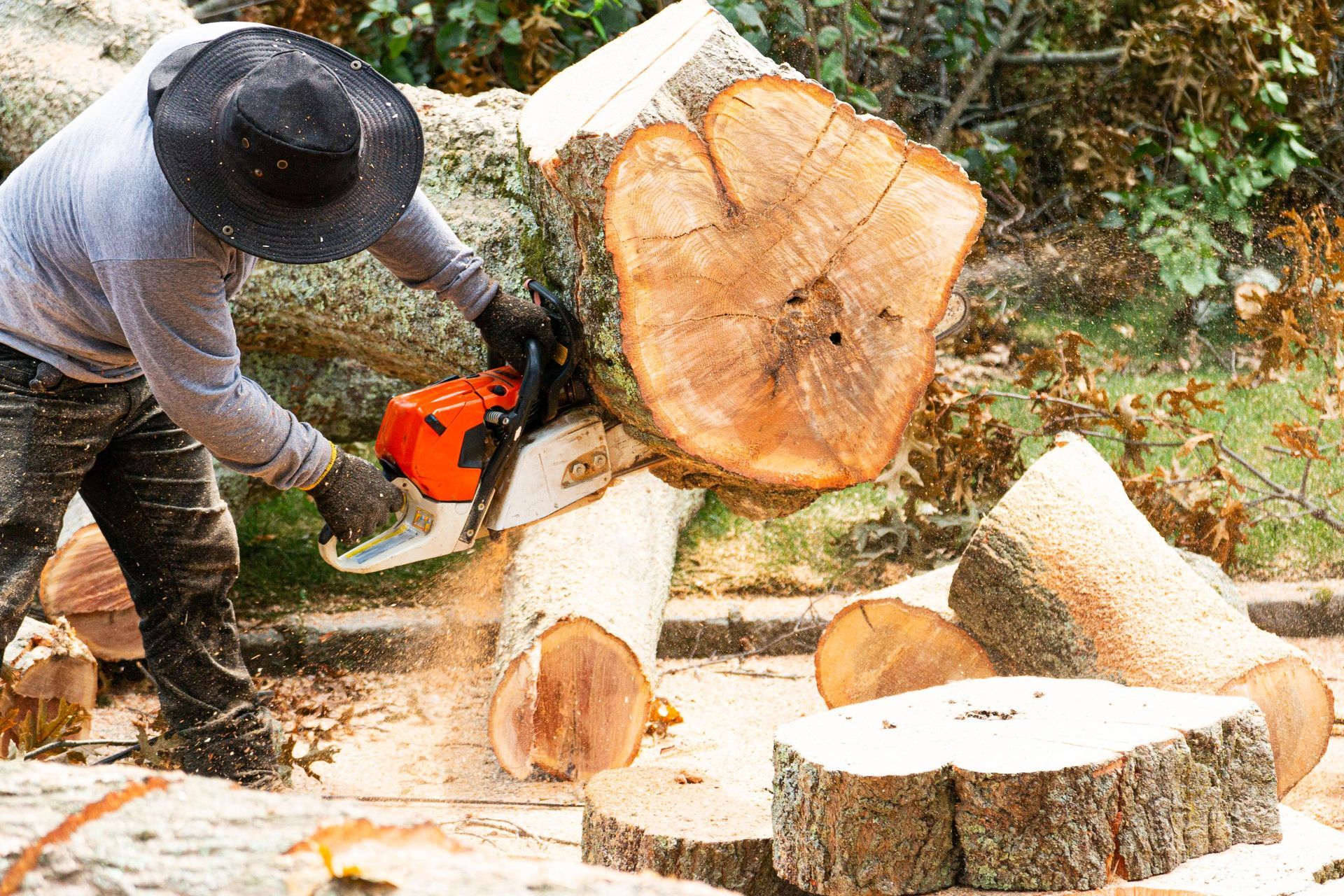 A man is cutting a large log with a chainsaw.