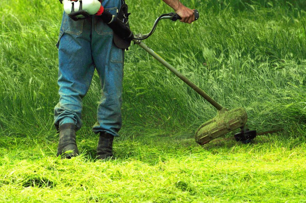 Person in Blue Overalls Using a Weed Whacker to Trim Long — Paul Offord Mowing In Norman Gardens, QLD