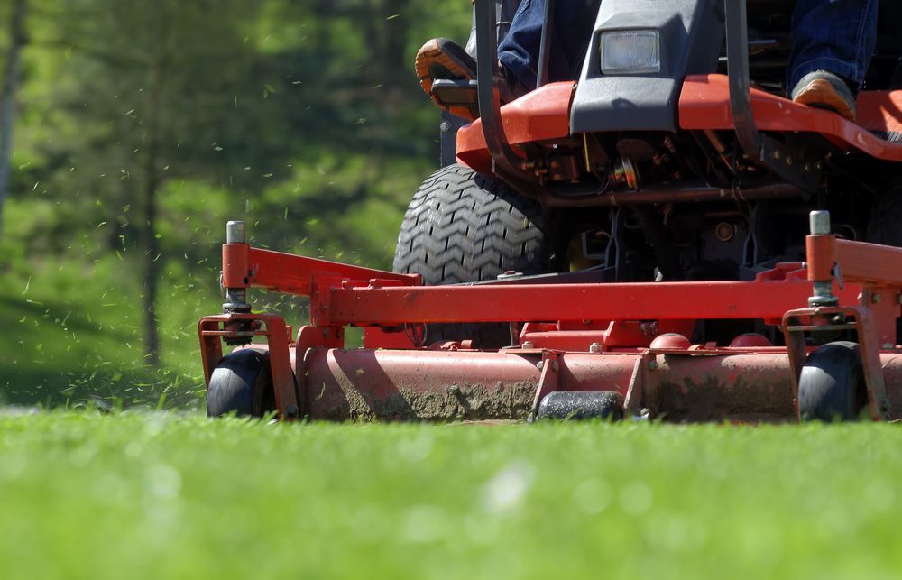 A Red Riding Lawn Mower Cuts Grass On A Sunny Day — Paul Offord Mowing In Norman Gardens, QLD