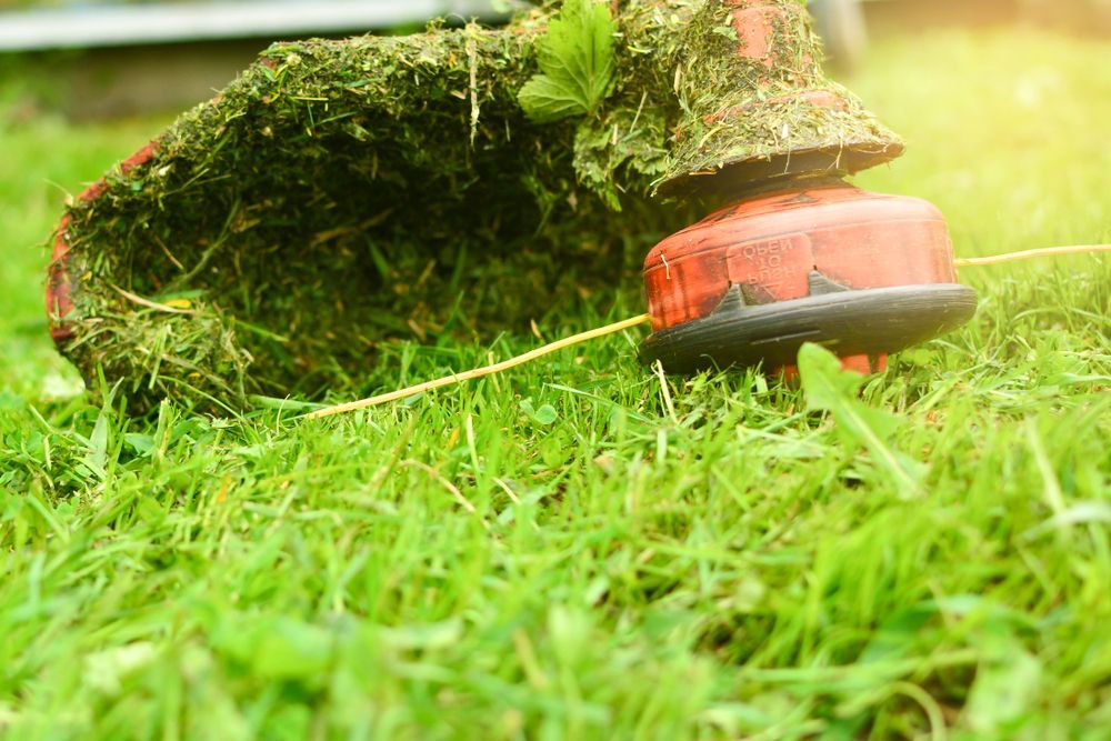 Close-up of a Red and Black String Trimmer— Paul Offord Mowing In Norman Gardens, QLD