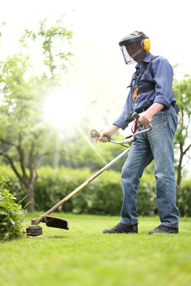 Man Trimming Grass With a Weed Whacker — Paul Offord Mowing In Norman Gardens, QLD