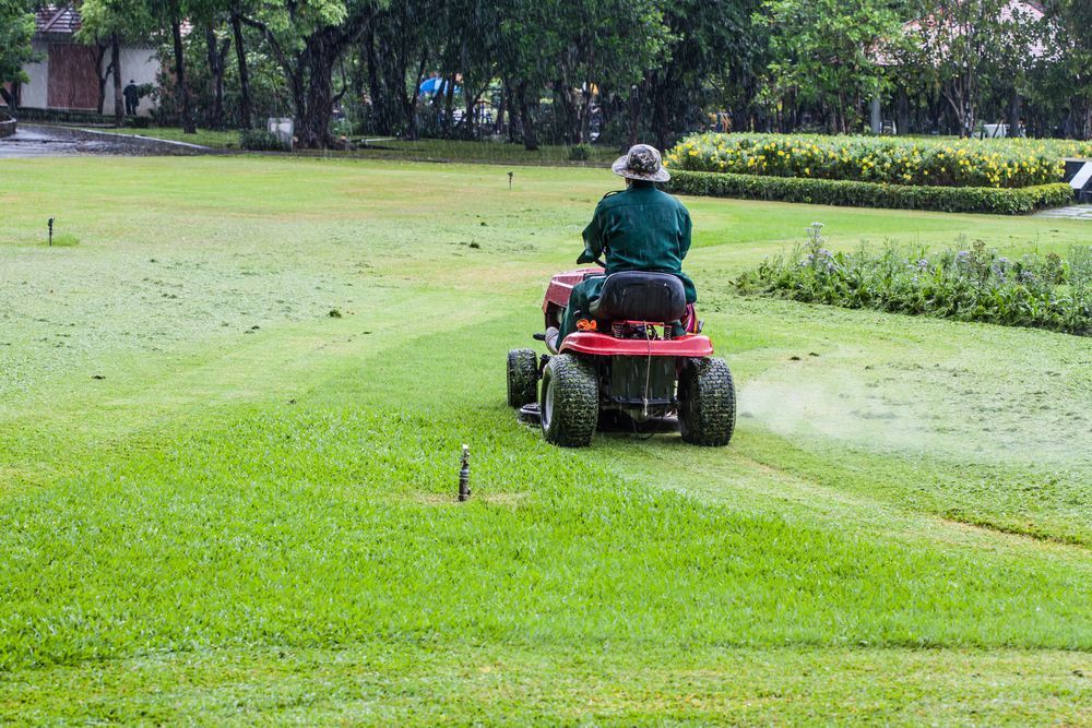 Person in a Hat on a Red Riding Mower — Paul Offord Mowing In Norman Gardens, QLD