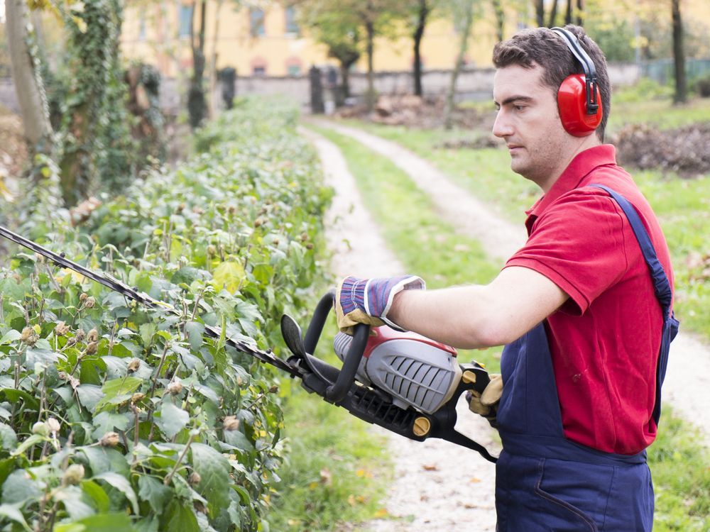 Man Trimming a Hedge With a Hedge Trimmer Outdoors — Paul Offord Mowing In Norman Gardens, QLD