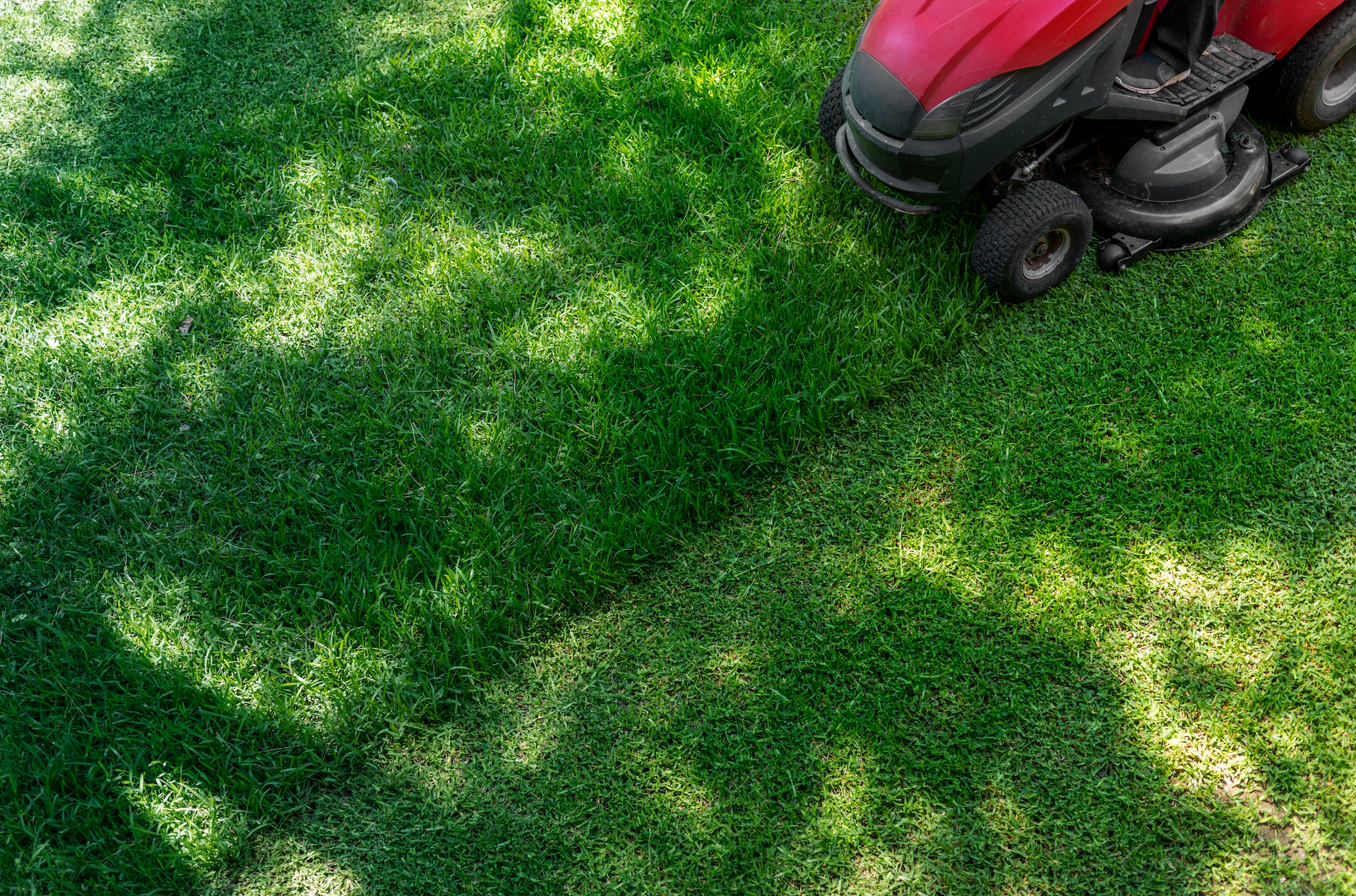 Lawnmower Cutting Green Grass on a Sunny Day — Paul Offord Mowing In Norman Gardens, QLD