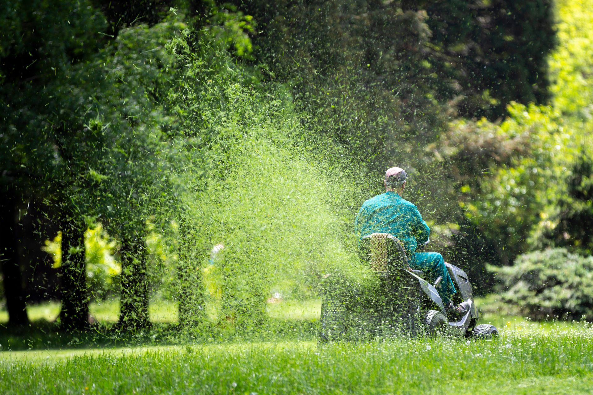 Orange Lawnmower With Black Bag Cutting Green Grass In A Yard — Paul Offord Mowing In Norman Gardens, QLD