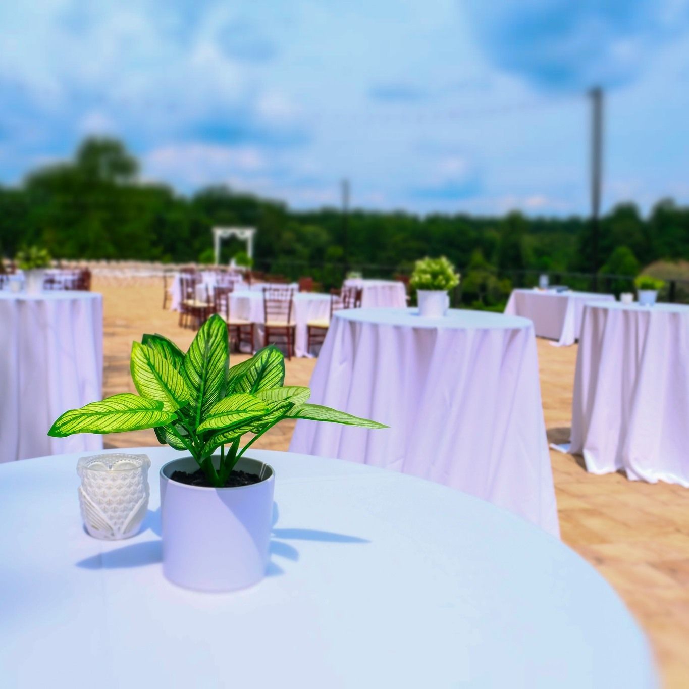 A potted plant is sitting on a table with tables and chairs in the background. | Brookeville, MD | Silo Falls