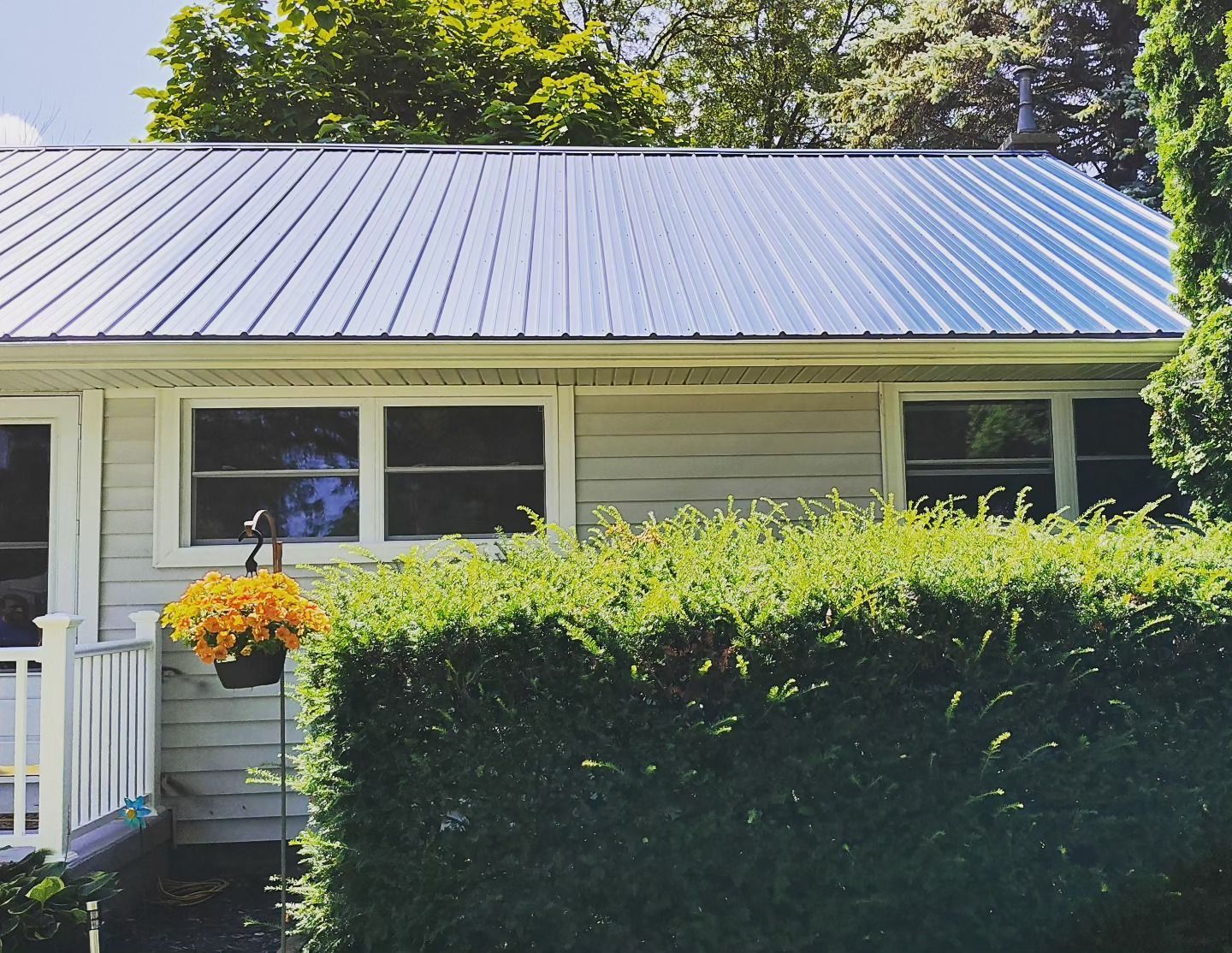 A white house with a metal roof and a hedge in front of it