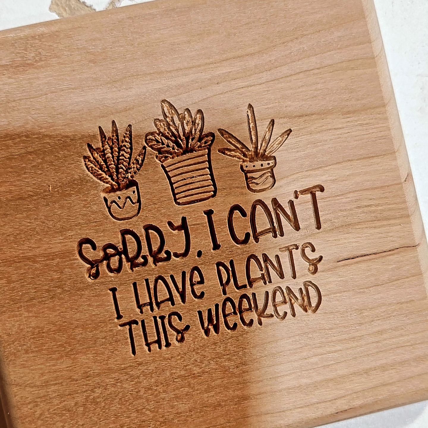 A wooden sign that says `` sorry i can 't i have plants this weekend ''