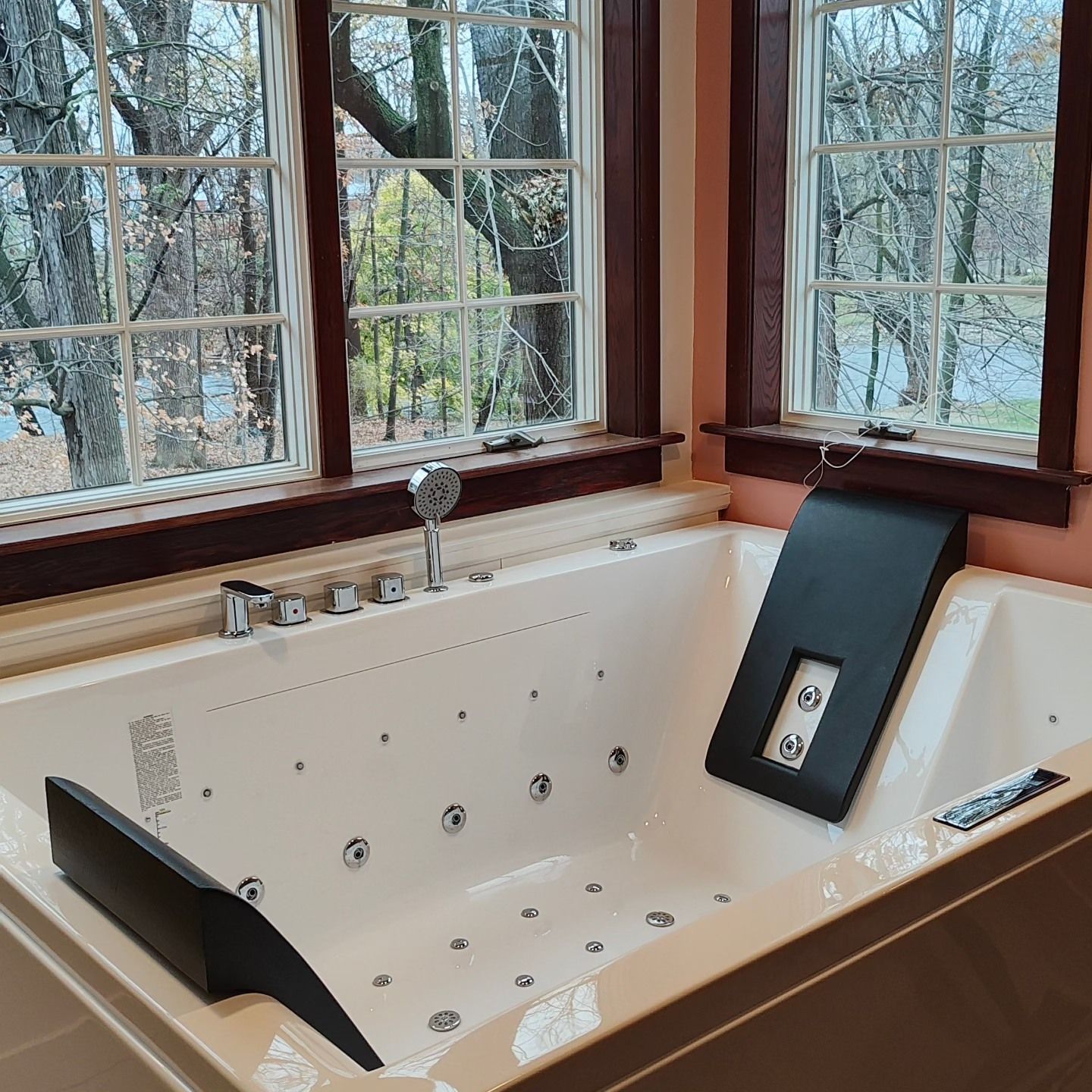 A jacuzzi tub in a bathroom with a view of trees and a window.