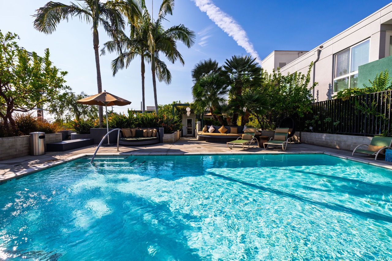 Angelene Apartments Outdoor pool area with lounge chairs, umbrellas, and palm trees at a rental community.
