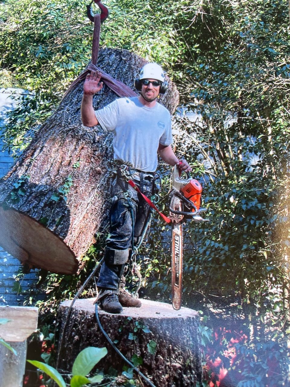 A man is standing on a tree stump with a chainsaw.