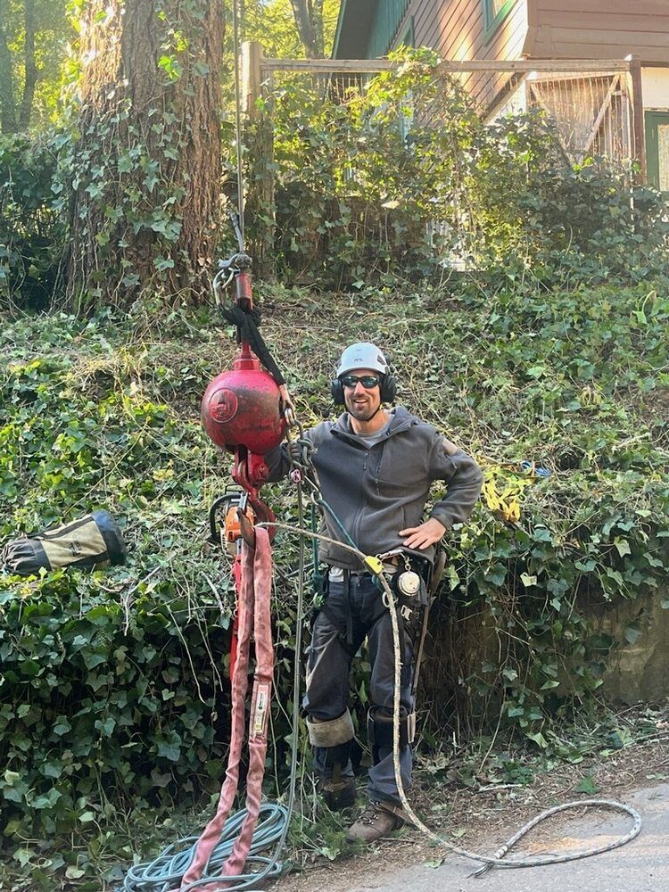 A man is standing next to a tree holding a red ball.