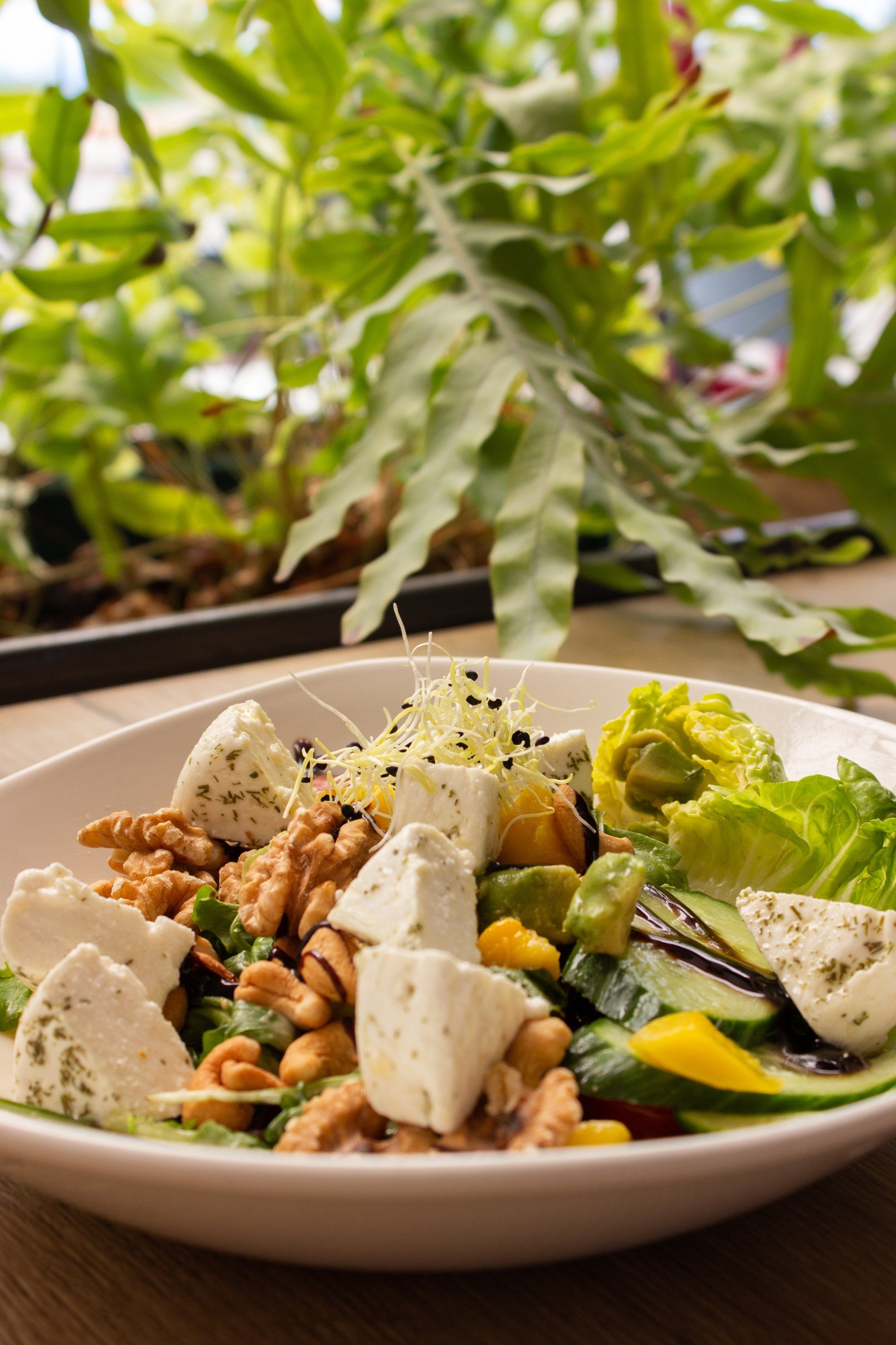 geitenkaassalade camping paviljoen tjeukemeer menu