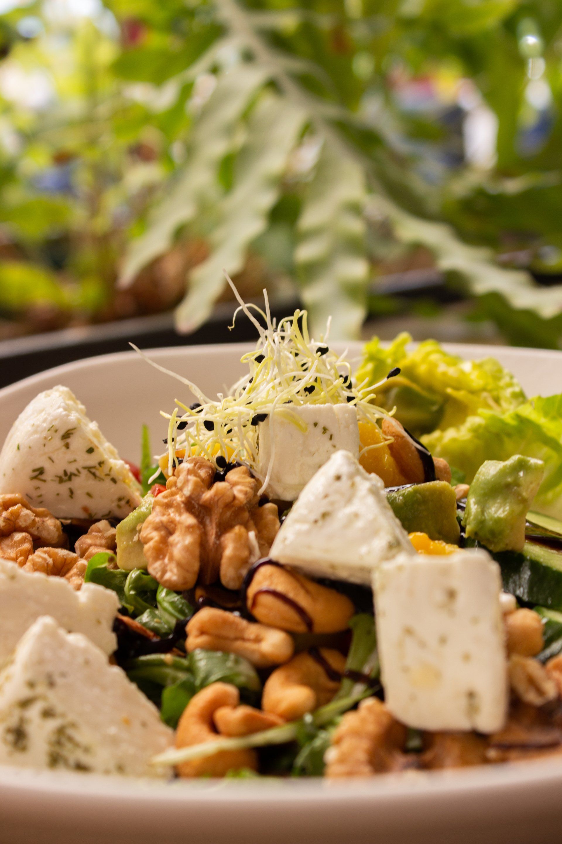 geitenkaassalade camping paviljoen tjeukemeer oldeouwer rohel