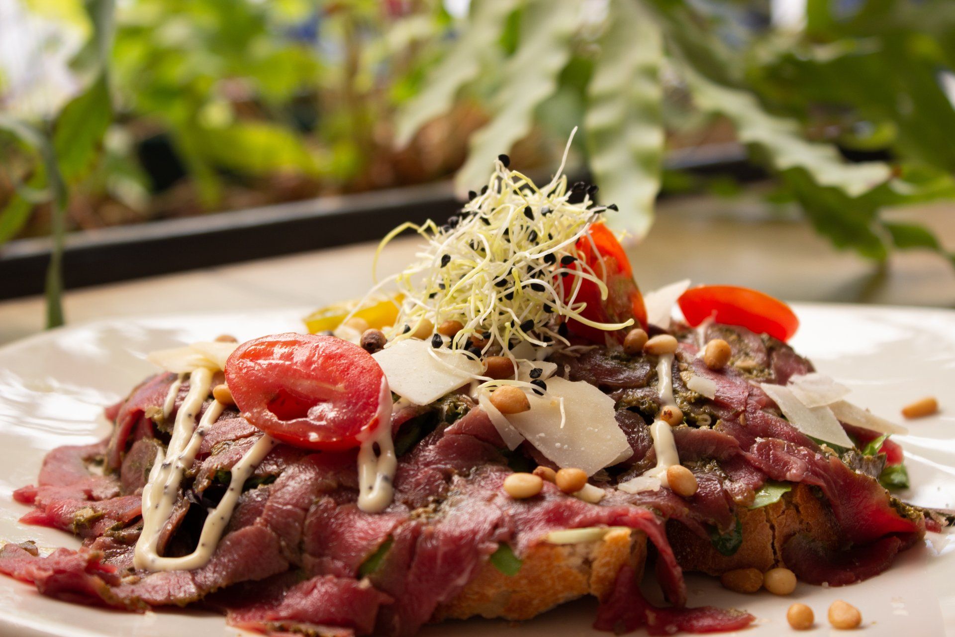 broodje carpaccio camping paviljoen tjeukemeer oldeouwer rohel