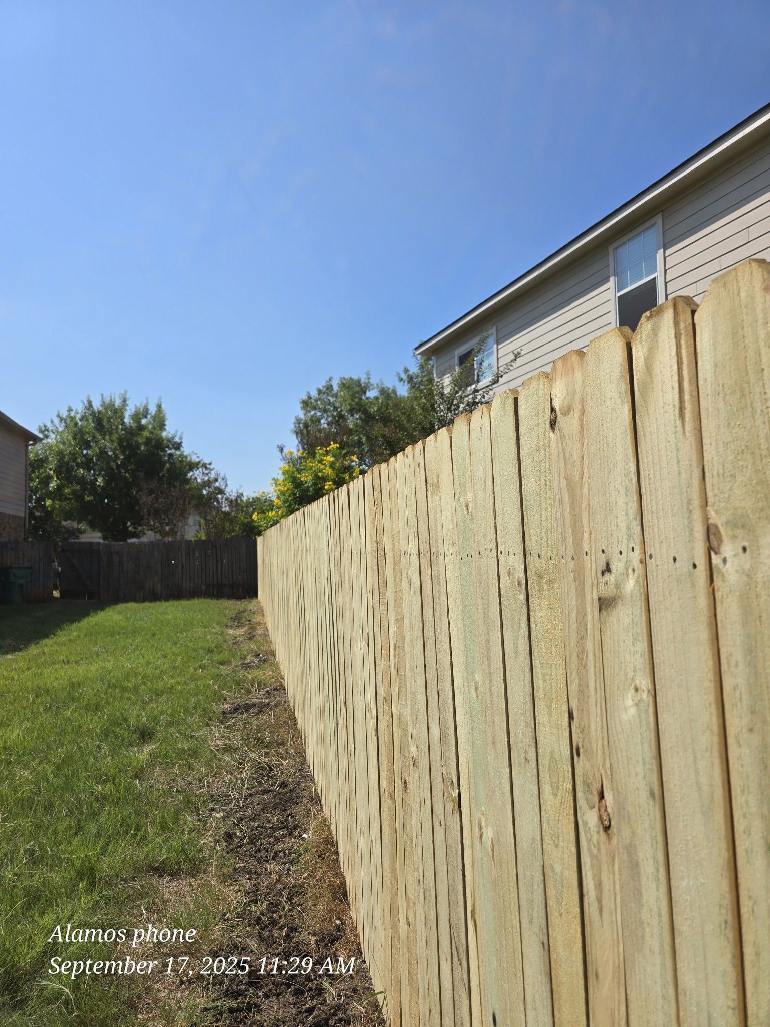 Wooden fence bordering a grassy yard on a sunny day. House in the background.