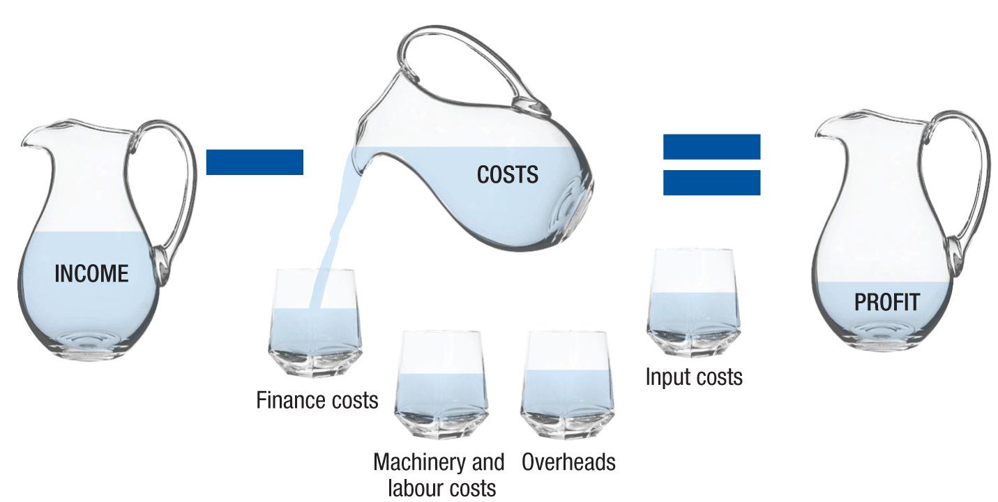 Focus on franchisees financial performance