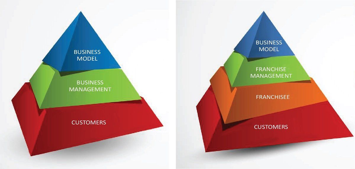 Non-franchised vs franchised business model