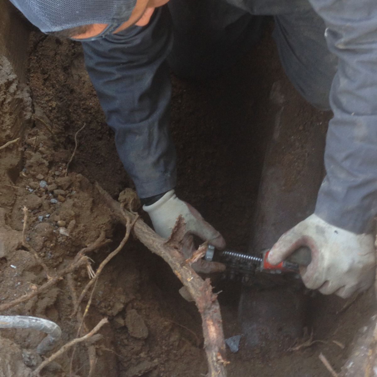 Ted & Bros Plumbing | man wearing gloves is digging in the dirt