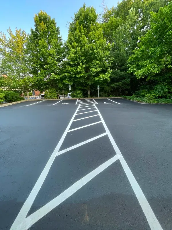 A parking lot with white lines and trees in the background.