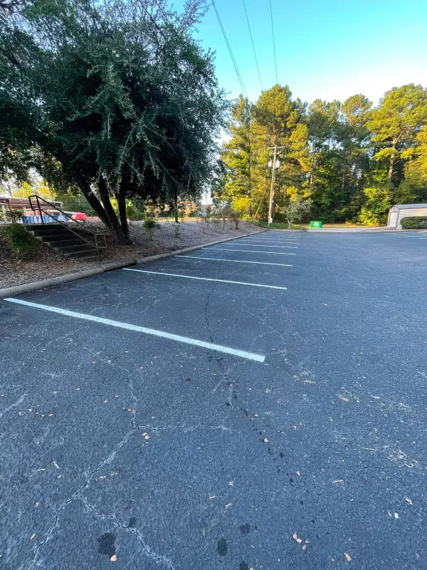 A parking lot with trees and power lines in the background.