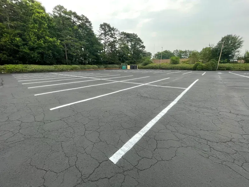 An empty parking lot with trees in the background