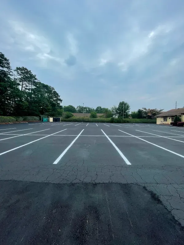 An empty parking lot with white lines and trees in the background