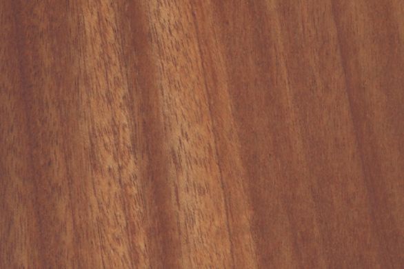 A close up of a piece of wood showing the grain and texture.