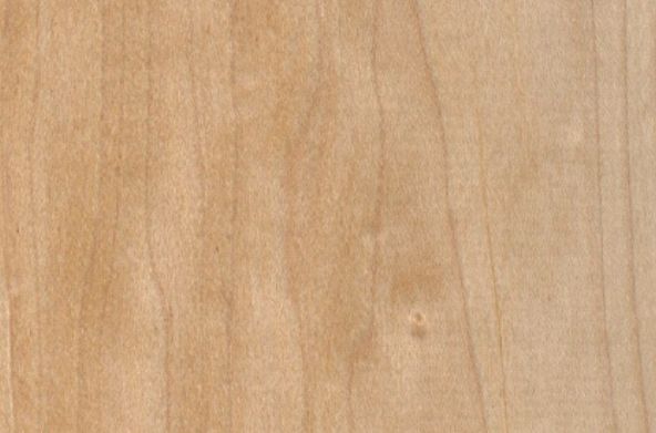 A close up of a piece of wood showing the grain