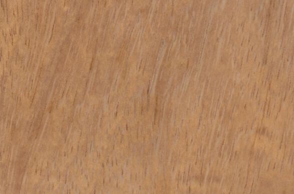 A close up of a piece of wood showing the grain and texture.