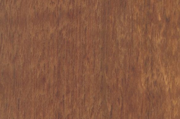 A close up of a piece of wood showing the grain and texture.