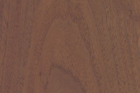 A close up of a piece of wood showing the grain and texture.