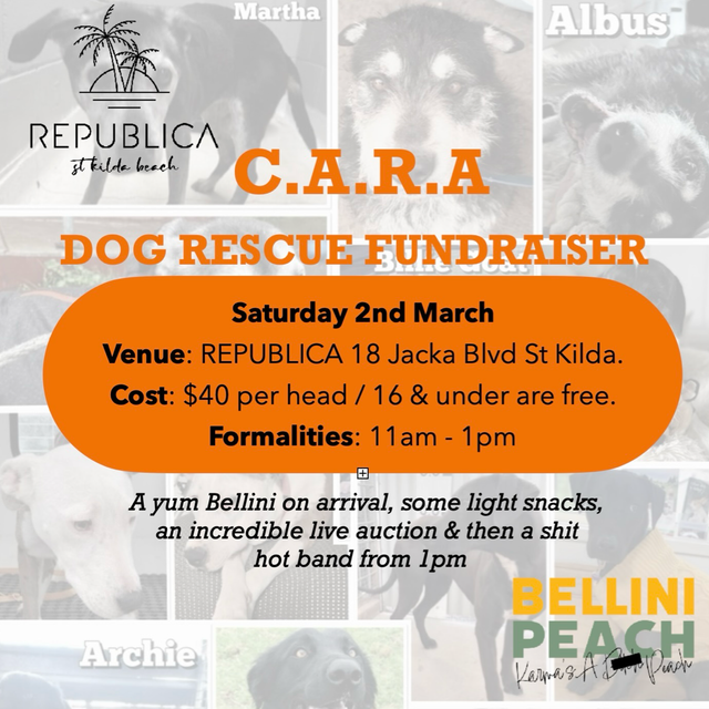 Cara pet hot sale rescue