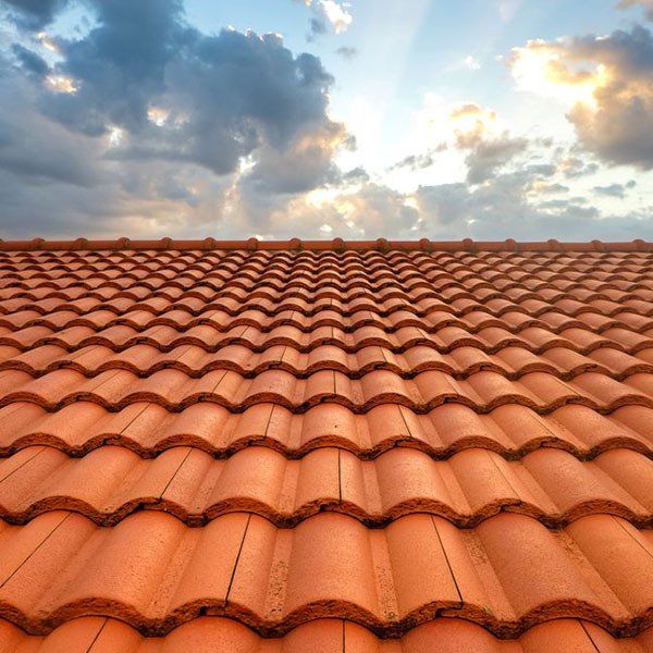 Orange Roof Tiles — Roof Restorations in Manning Valley, NSW