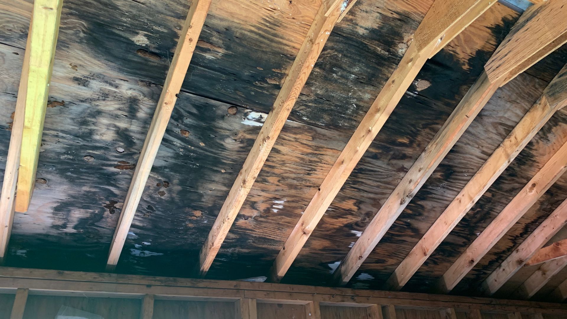 a ceiling with a lot of wood beams and a lot of mold on it.