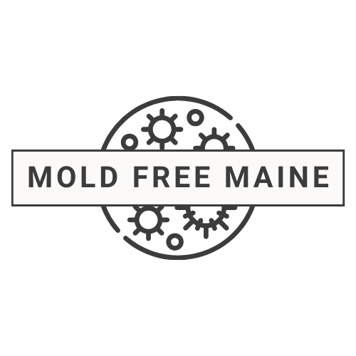 Mold Free Maine