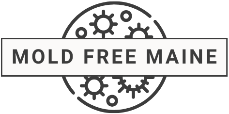 Mold Free Maine