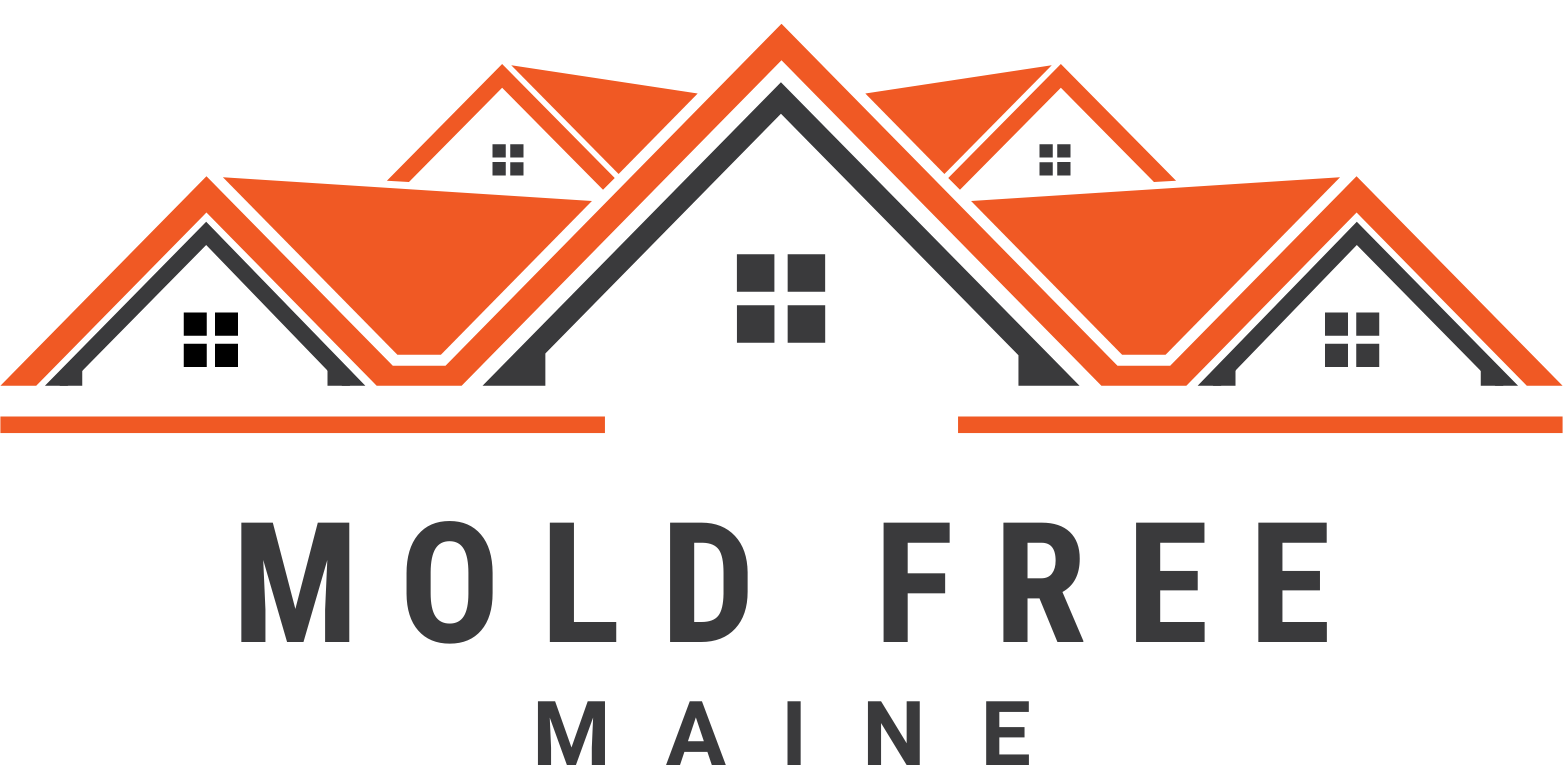 Mold Free Maine