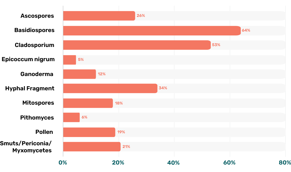 Most Common Mold Types in Office Rooms