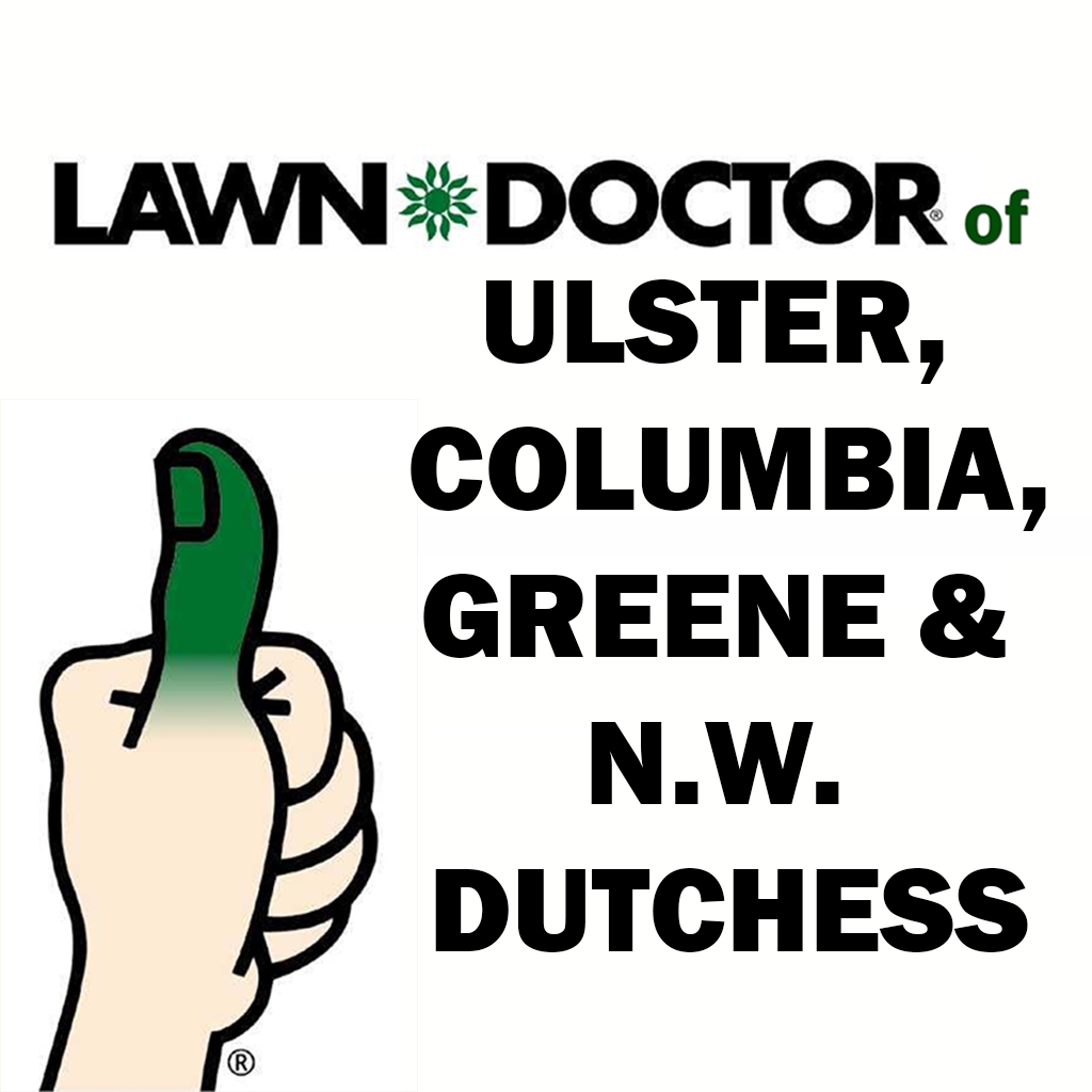 lawn-doctor