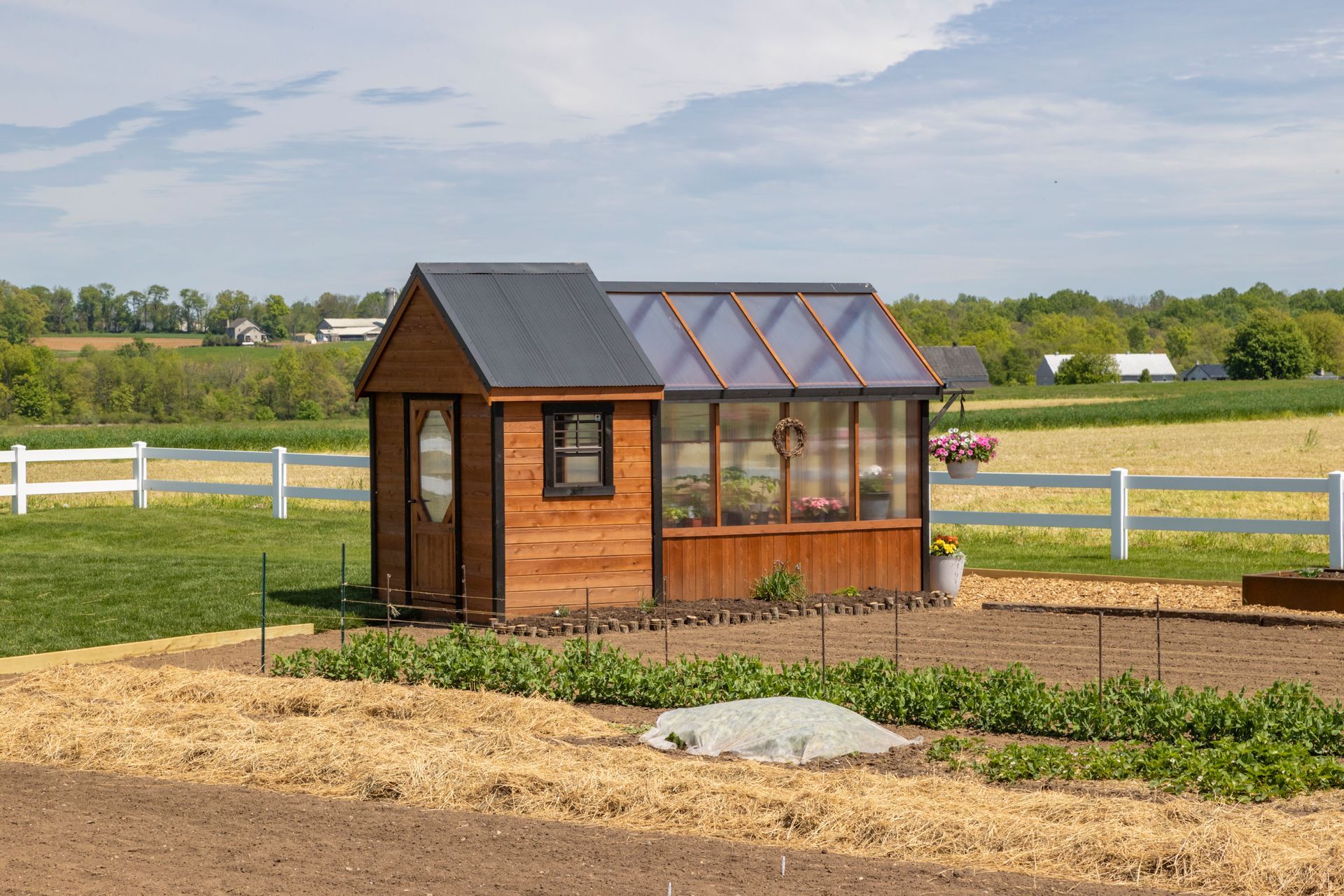 A small wooden garden shed with a greenhouse attachment, sitting in a field behind a white fence under a sunny sky.