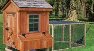 Chicken House — Burlington, NJ — The Shed Lot Chicken House — Burlington, NJ — The Shed Lot