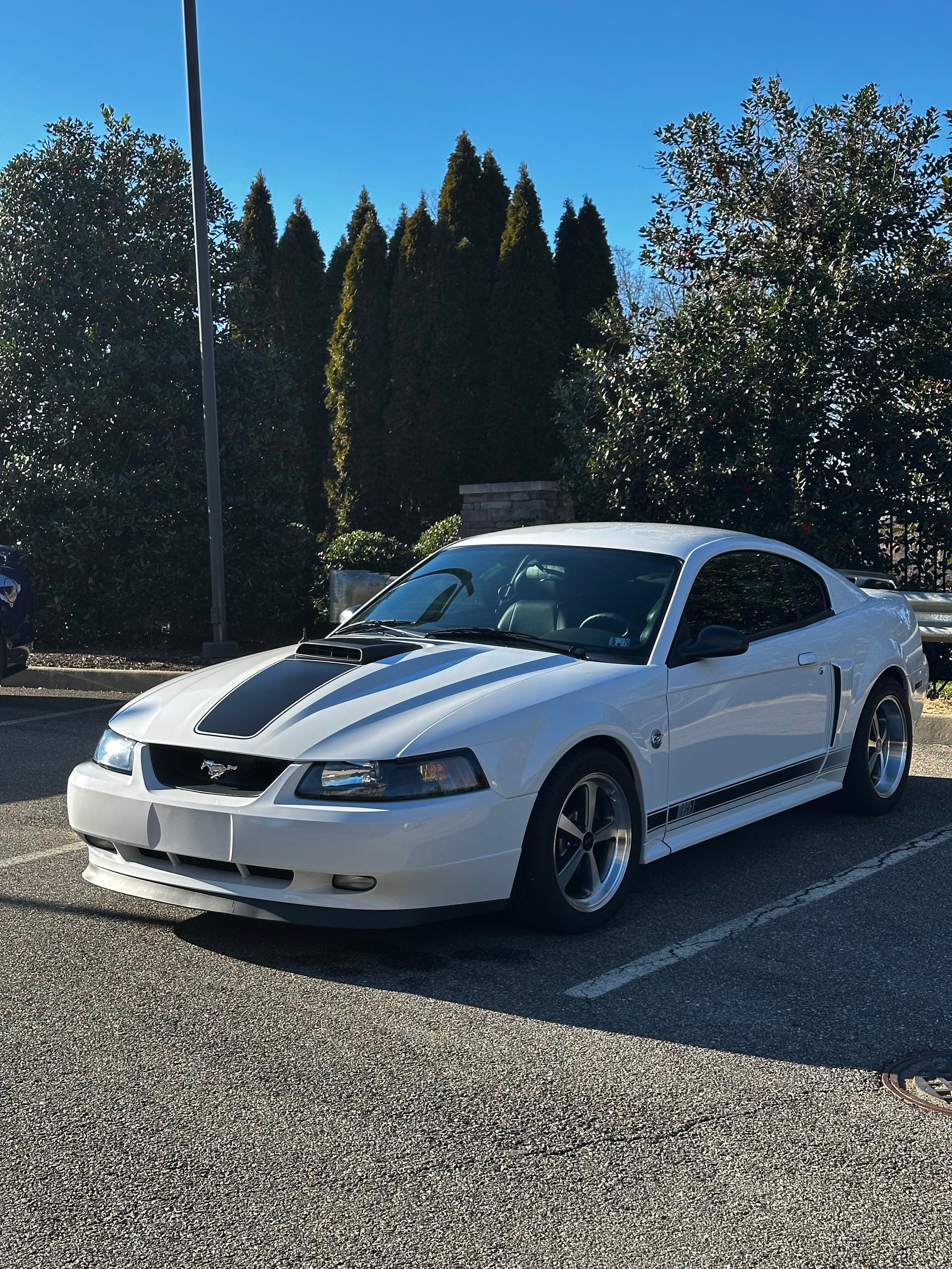 mobile detailing Lake Monticello VA