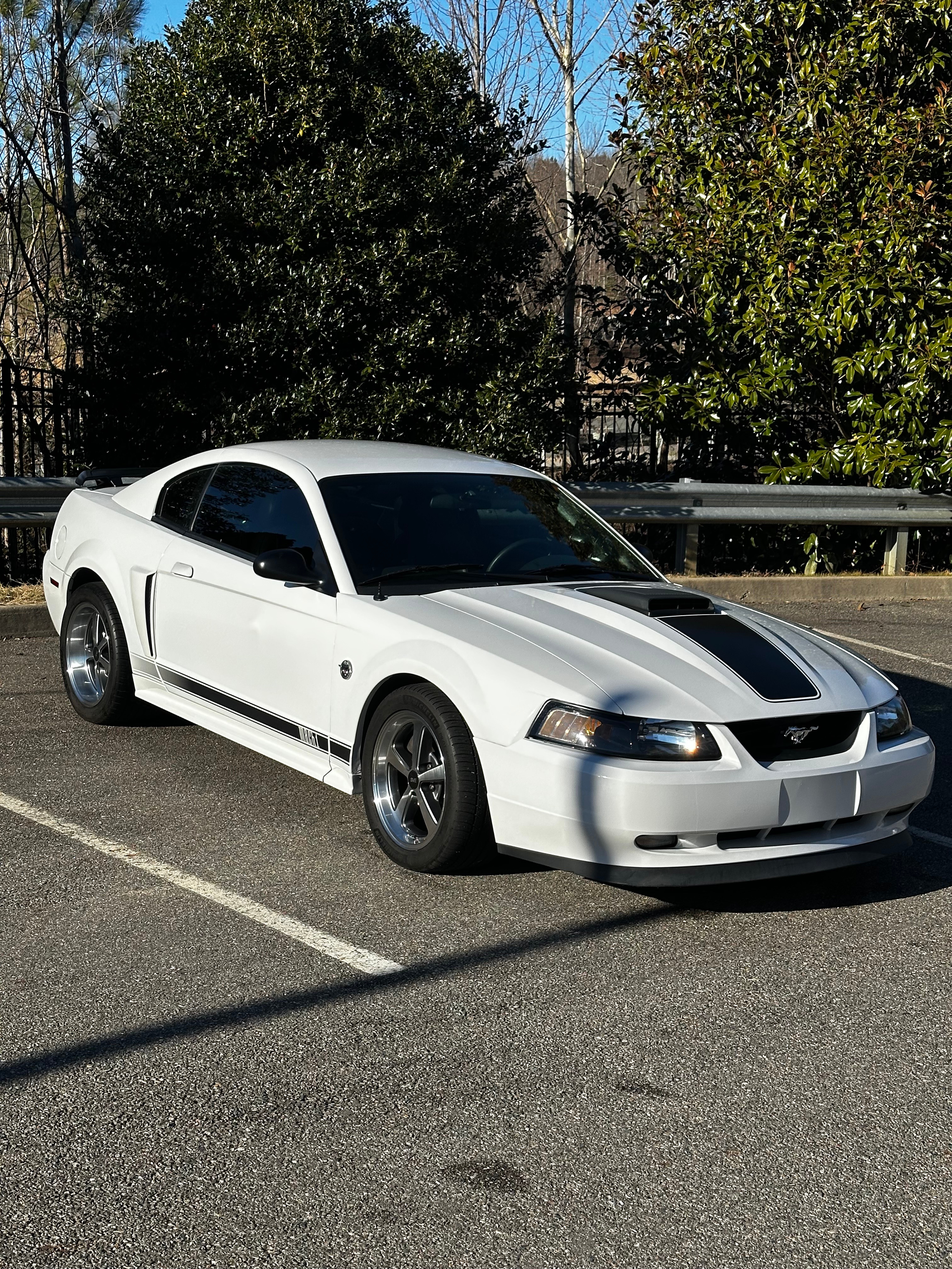 professional auto detailing Richmond