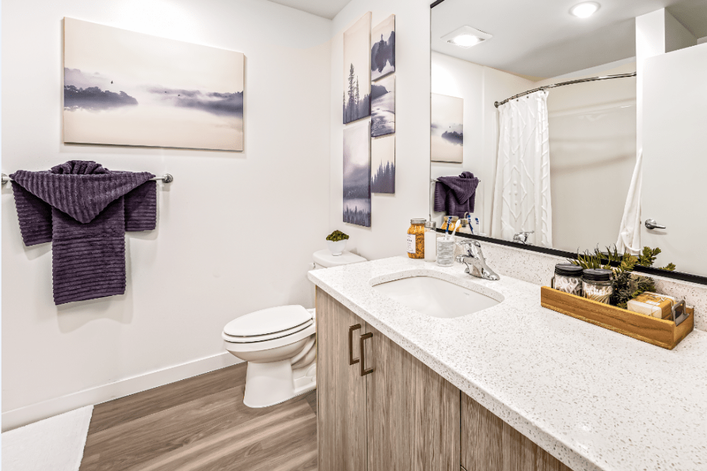 Bathroom in an apartment with a single sink vanity, mirror, toilet, and shower.