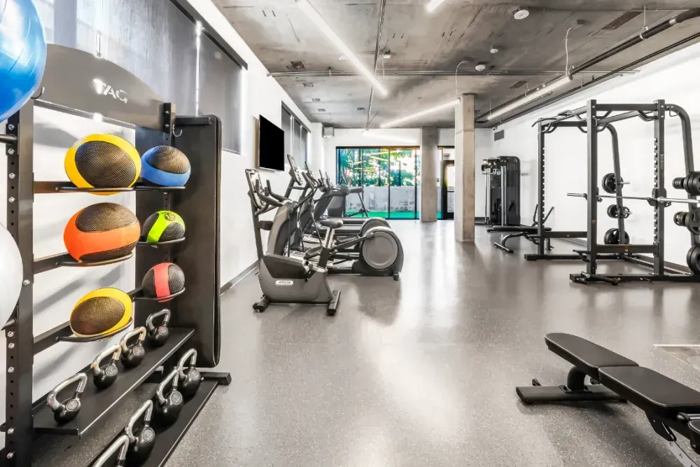 Modern apartment gym with cardio machines, free weights, and a weight rack.