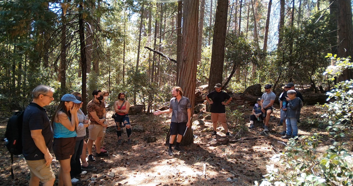 A group of people are standing around a tree in the woods.