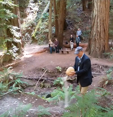 A man in a suit is holding a pumpkin in a forest