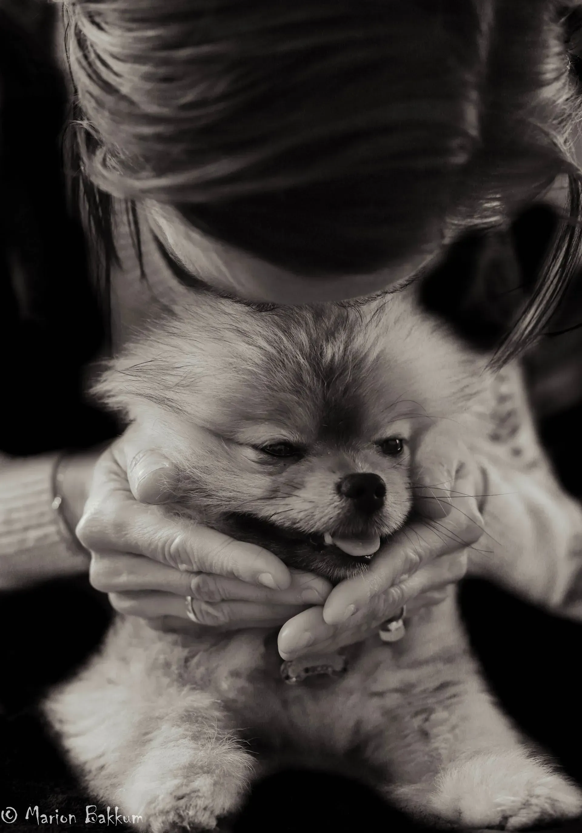 Een vrouw houdt een pluizige, lichtgekleurde hond dicht tegen zich aan in een liefdevolle omhelzing.